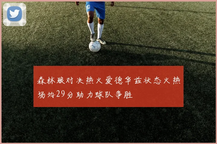 森林狼对决热火爱德华兹状态火热场均29分助力球队争胜
